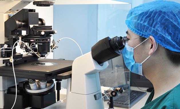 分享柬埔寨做试管的一些成功经验！2026年柬埔寨试管婴儿流程一览