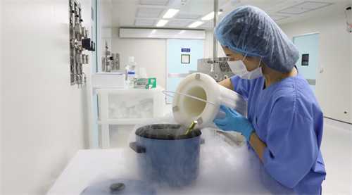 做第三代试管适合养囊的人群介绍！三代试管婴儿养囊有什么好处