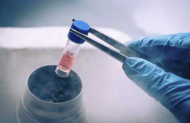 详解试管解冻胚胎移植的4种方案！胚胎解冻移植的流程是什么