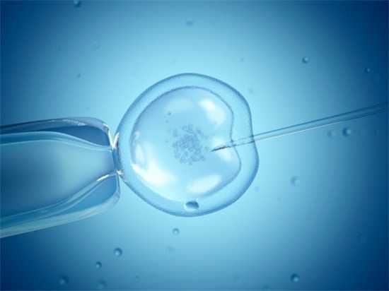 2026试管婴儿养囊费用是多少？附试管婴儿养囊费用的计算方法