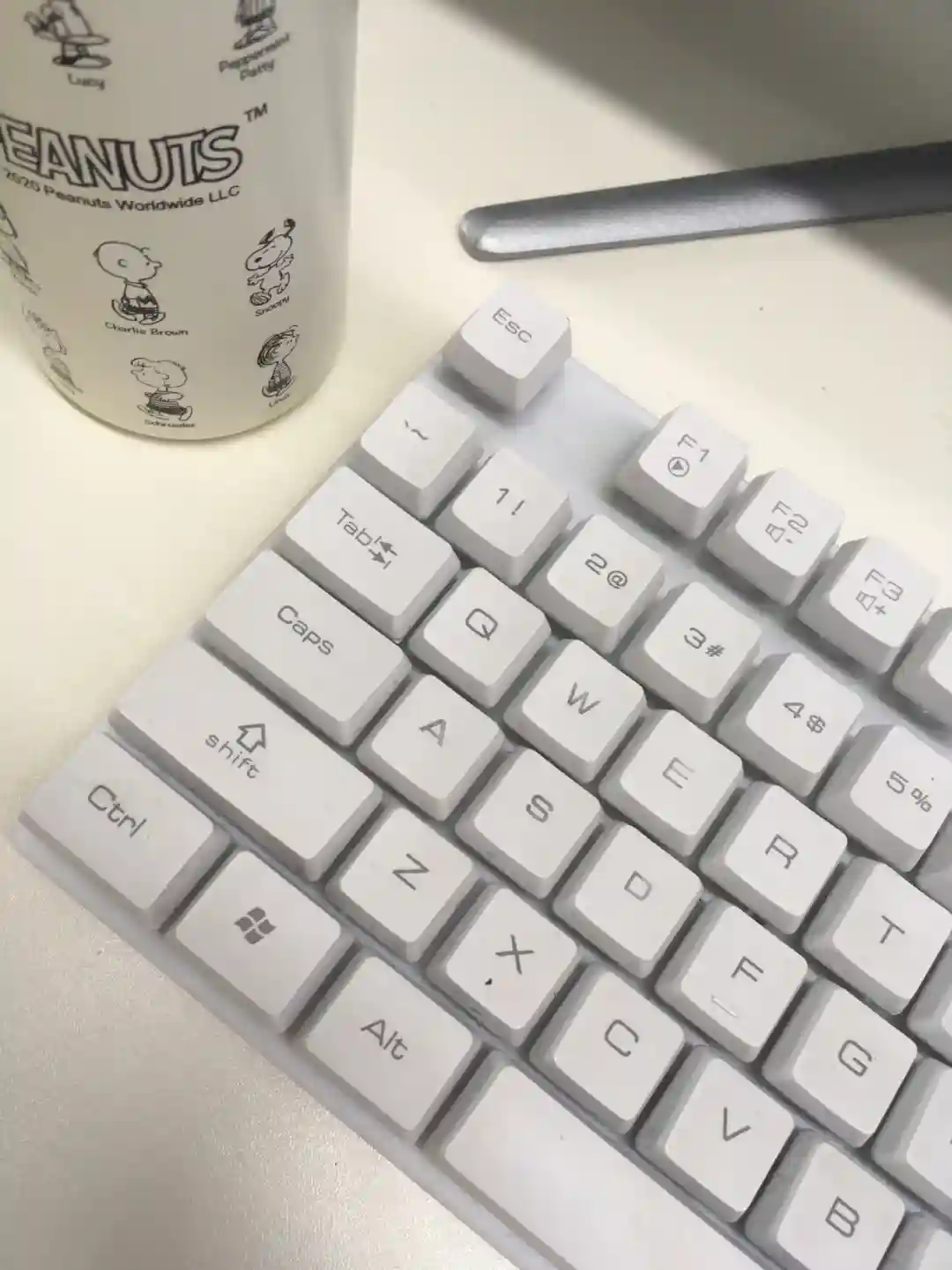 真的要借别人的卵做生育机器吗？